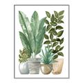 Picture of Plant Party II  _GroupedProduct_Rectangle_Portrait_Canvas_Framed_
