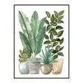 Picture of Plant Party II  _GroupedProduct_Rectangle_Portrait_Canvas_Framed_