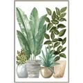 Picture of Plant Party II  _GroupedProduct_Rectangle_Portrait_Canvas_Framed_