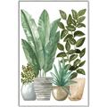 Picture of Plant Party II  _GroupedProduct_Rectangle_Portrait_Canvas_Framed_