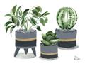 Picture of Plants in Grey vases _GroupedProduct_Rectangle_Landscape_Unframed_Print_Only_