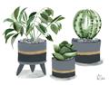 Picture of Plants in Grey vases _GroupedProduct_Rectangle_Landscape_Unframed_Print_Only_