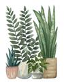 Picture of Plant Party I  _GroupedProduct_Rectangle_Portrait_Unframed_Print_Only_