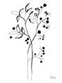 Picture of Branches Drawing _GroupedProduct_Rectangle_Portrait_Unframed_Print_Only_