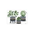 Picture of Plants in Grey vases _GroupedProduct_Rectangle_Landscape_Unframed_Print_Only_