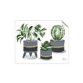 Picture of Plants in Grey vases _GroupedProduct_Rectangle_Landscape_Unframed_Print_Only_