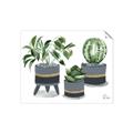 Picture of Plants in Grey vases _GroupedProduct_Rectangle_Landscape_Unframed_Print_Only_