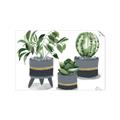 Picture of Plants in Grey vases _GroupedProduct_Rectangle_Landscape_Unframed_Print_Only_