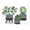 Picture of Plants in Grey vases _GroupedProduct_Rectangle_Landscape_Unframed_Print_Only_