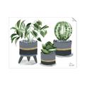 Picture of Plants in Grey vases _GroupedProduct_Rectangle_Landscape_Unframed_Print_Only_