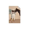 Picture of Fashion and Horse  _GroupedProduct_Rectangle_Portrait_Unframed_Print_Only_