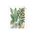 Picture of Plant Party II  _GroupedProduct_Rectangle_Portrait_Unframed_Print_Only_