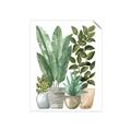 Picture of Plant Party II  _GroupedProduct_Rectangle_Portrait_Unframed_Print_Only_