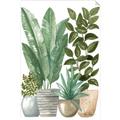 Picture of Plant Party II  _GroupedProduct_Rectangle_Portrait_Unframed_Print_Only_