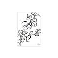 Picture of Leaves Drawing  _GroupedProduct_Rectangle_Portrait_Unframed_Print_Only_