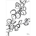 Picture of Leaves Drawing  _GroupedProduct_Rectangle_Portrait_Unframed_Print_Only_