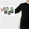 Picture of Plants in Grey vases _GroupedProduct_Rectangle_Landscape_Canvas_