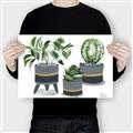 Picture of Plants in Grey vases _GroupedProduct_Rectangle_Landscape_Canvas_