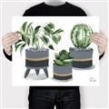 Picture of Plants in Grey vases _GroupedProduct_Rectangle_Landscape_Canvas_