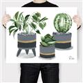 Picture of Plants in Grey vases _GroupedProduct_Rectangle_Landscape_Canvas_