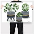 Picture of Plants in Grey vases _GroupedProduct_Rectangle_Landscape_Canvas_