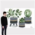 Picture of Plants in Grey vases _GroupedProduct_Rectangle_Landscape_Canvas_