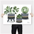 Picture of Plants in Grey vases _GroupedProduct_Rectangle_Landscape_Canvas_