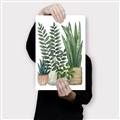 Picture of Plant Party I  _GroupedProduct_Rectangle_Portrait_Canvas_