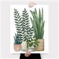 Picture of Plant Party I  _GroupedProduct_Rectangle_Portrait_Canvas_