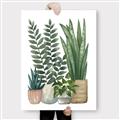 Picture of Plant Party I  _GroupedProduct_Rectangle_Portrait_Canvas_