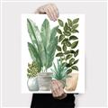 Picture of Plant Party II  _GroupedProduct_Rectangle_Portrait_Canvas_