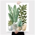 Picture of Plant Party II  _GroupedProduct_Rectangle_Portrait_Canvas_