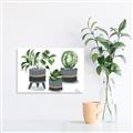 Picture of Plants in Grey vases _GroupedProduct_Rectangle_Landscape_Canvas_