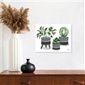 Picture of Plants in Grey vases _GroupedProduct_Rectangle_Landscape_Canvas_