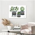 Picture of Plants in Grey vases _GroupedProduct_Rectangle_Landscape_Canvas_