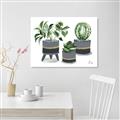 Picture of Plants in Grey vases _GroupedProduct_Rectangle_Landscape_Canvas_