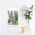 Picture of Plant Party I  _GroupedProduct_Rectangle_Portrait_Canvas_