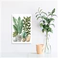 Picture of Plant Party II  _GroupedProduct_Rectangle_Portrait_Canvas_