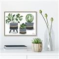 Picture of Plants in Grey vases _GroupedProduct_Rectangle_Landscape_Canvas_Framed_