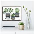 Picture of Plants in Grey vases _GroupedProduct_Rectangle_Landscape_Canvas_Framed_