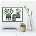 Picture of Plants in Grey vases _GroupedProduct_Rectangle_Landscape_Canvas_Framed_