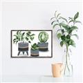 Picture of Plants in Grey vases _GroupedProduct_Rectangle_Landscape_Canvas_Framed_