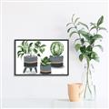 Picture of Plants in Grey vases _GroupedProduct_Rectangle_Landscape_Canvas_Framed_