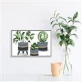 Picture of Plants in Grey vases _GroupedProduct_Rectangle_Landscape_Canvas_Framed_