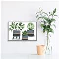 Picture of Plants in Grey vases _GroupedProduct_Rectangle_Landscape_Canvas_Framed_