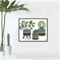 Picture of Plants in Grey vases _GroupedProduct_Rectangle_Landscape_Canvas_Framed_