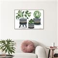 Picture of Plants in Grey vases _GroupedProduct_Rectangle_Landscape_Canvas_Framed_