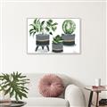Picture of Plants in Grey vases _GroupedProduct_Rectangle_Landscape_Canvas_Framed_