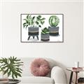 Picture of Plants in Grey vases _GroupedProduct_Rectangle_Landscape_Canvas_Framed_