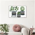 Picture of Plants in Grey vases _GroupedProduct_Rectangle_Landscape_Canvas_Framed_